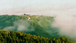 Vergrößern