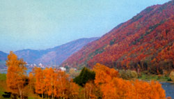 Vergrößern